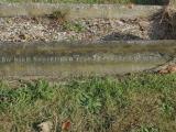 image of grave number 583015